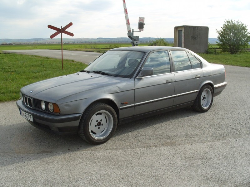 S1050078.JPG