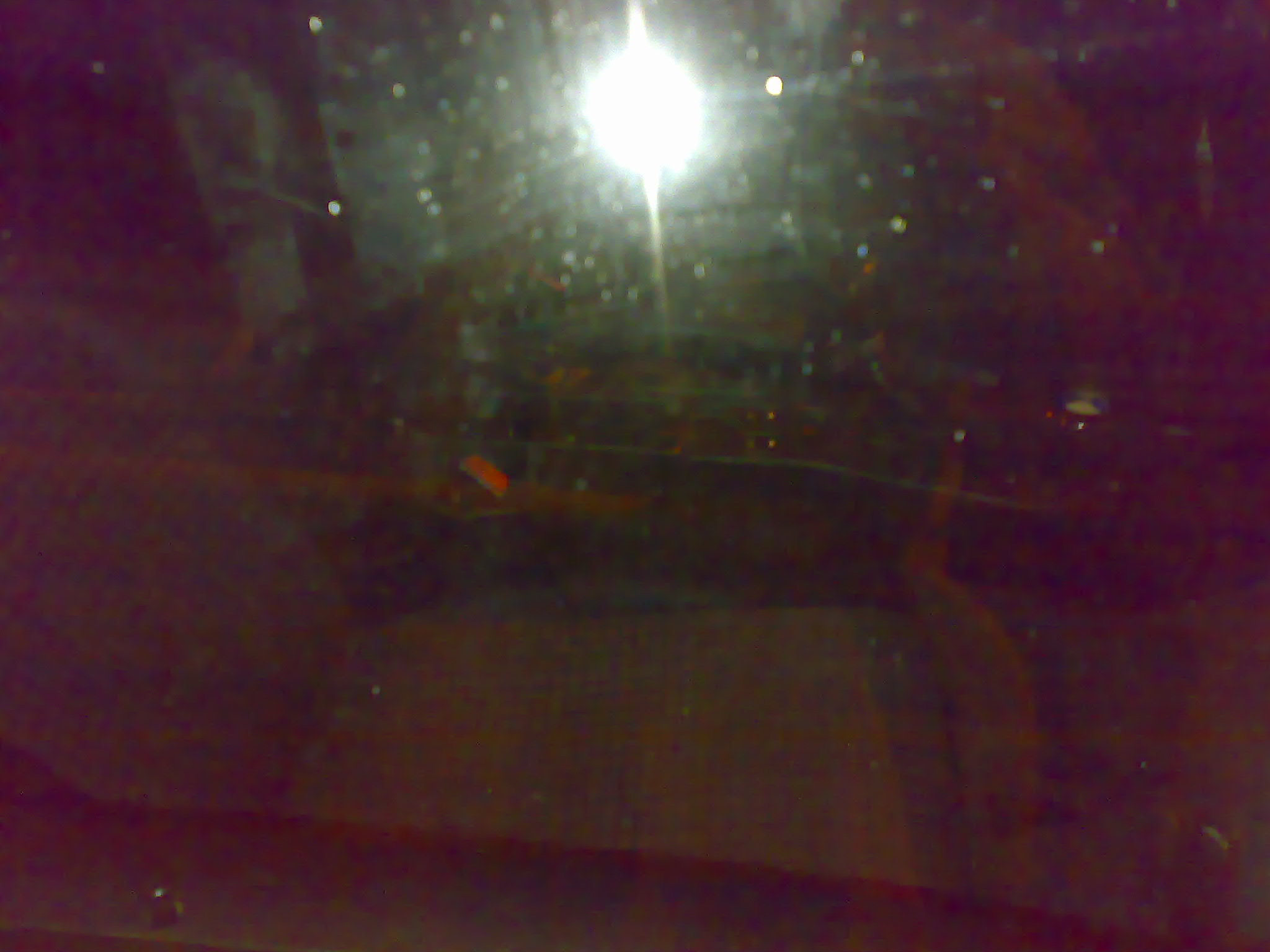 21102007345.jpg