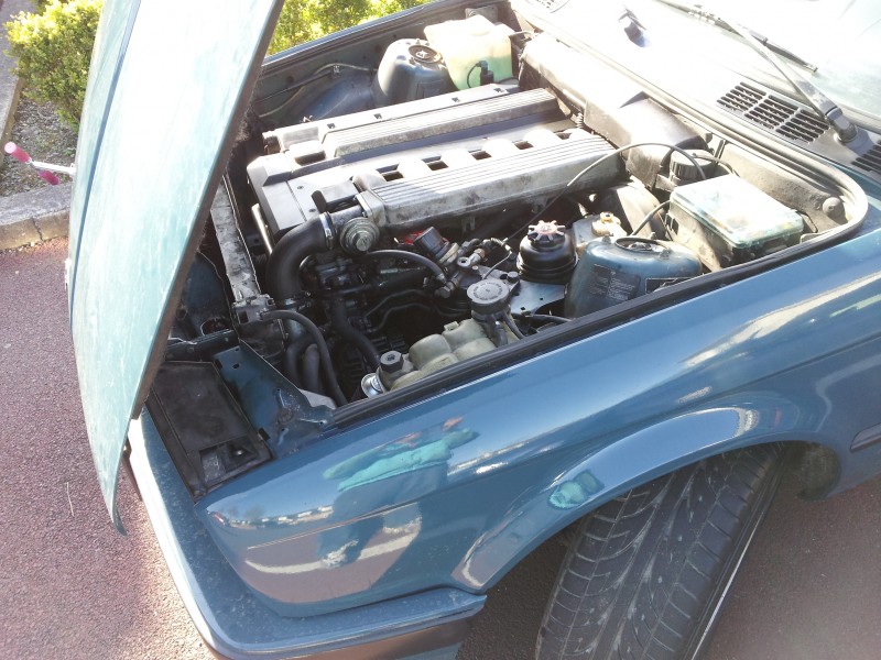 20140427_172905.jpg