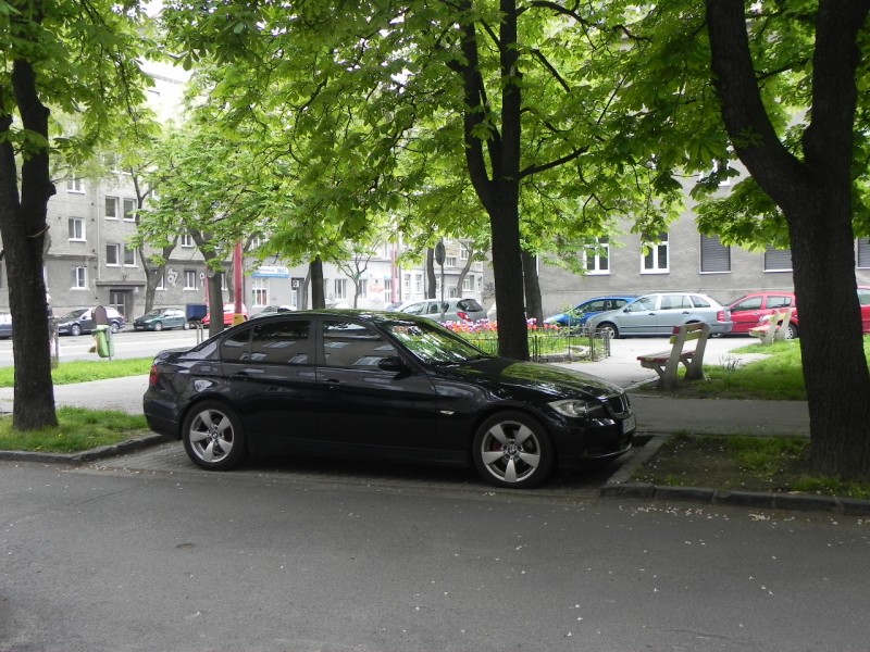 DSCN7937.JPG