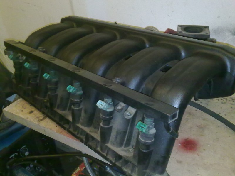 m50sanie.jpg