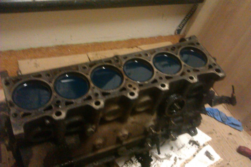 IMAG0378.jpg