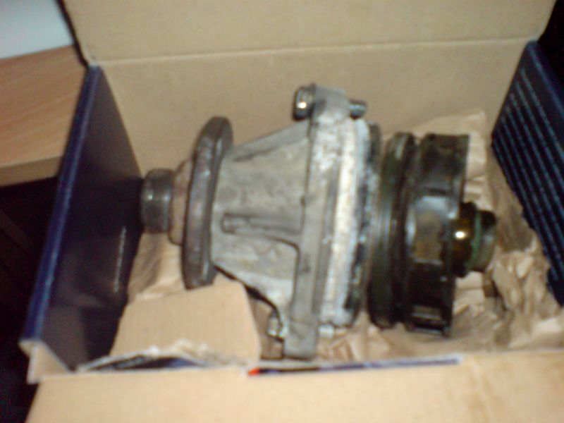 DSC00128.jpg