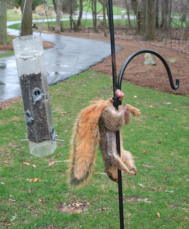 bad day.jpg