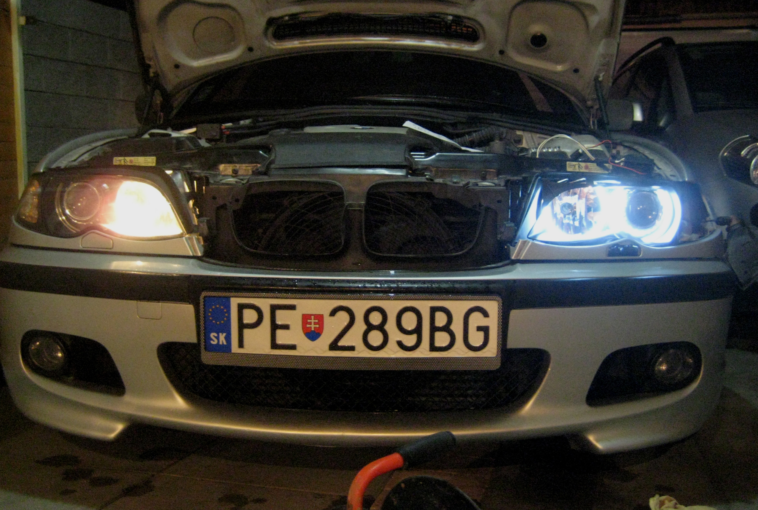 pred a portee.jpg