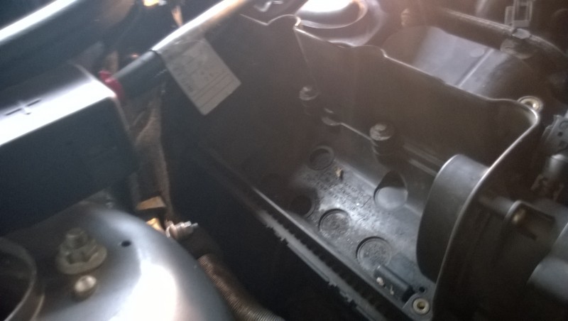 WP_20140528_009.jpg