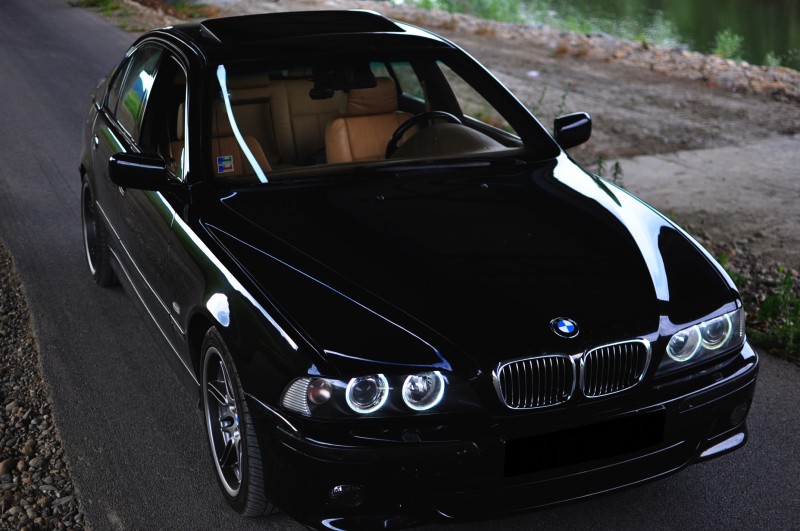 e39.jpg