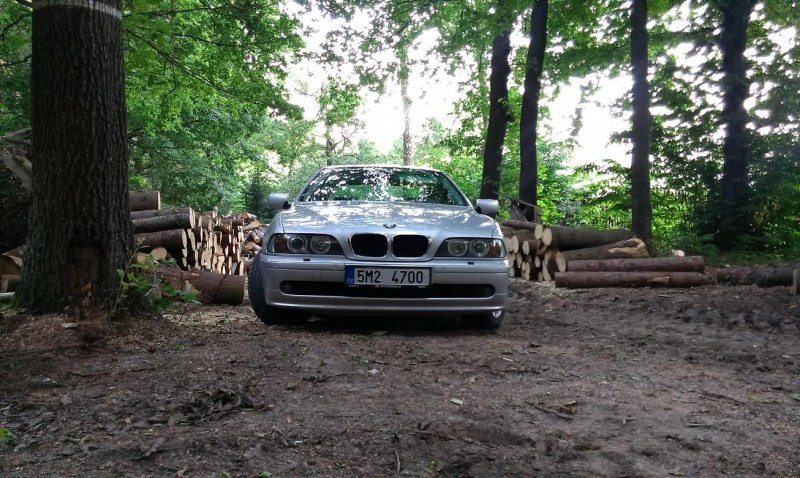 IMAG0074.jpg