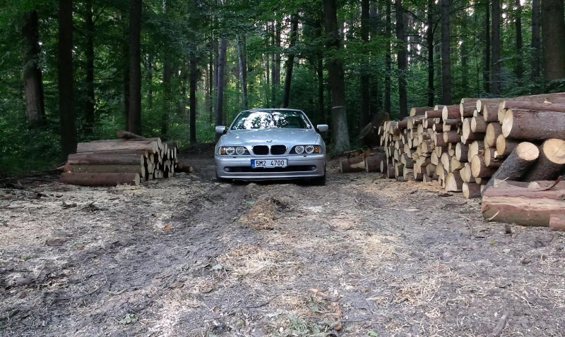 IMAG0077.jpg