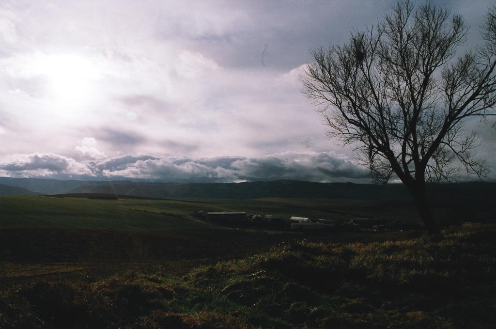 02820036.JPG
