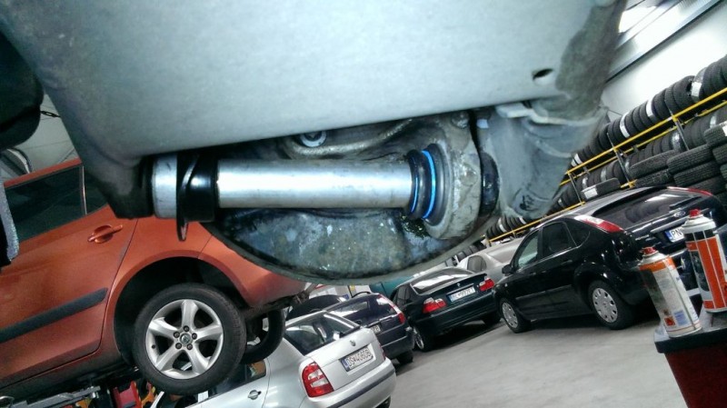 IMAG0392.jpg