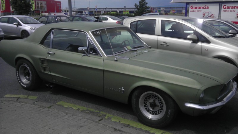 IMAG0710.jpg