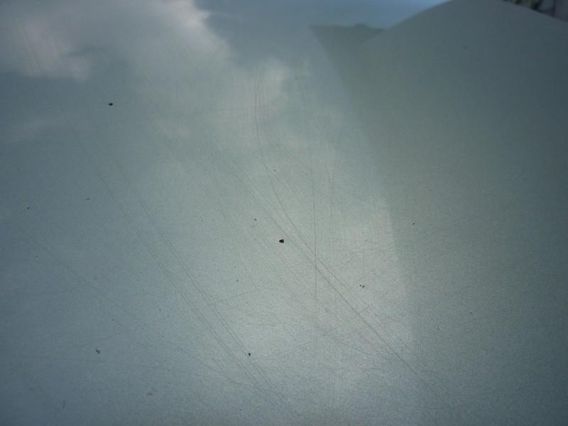 P1070373.JPG