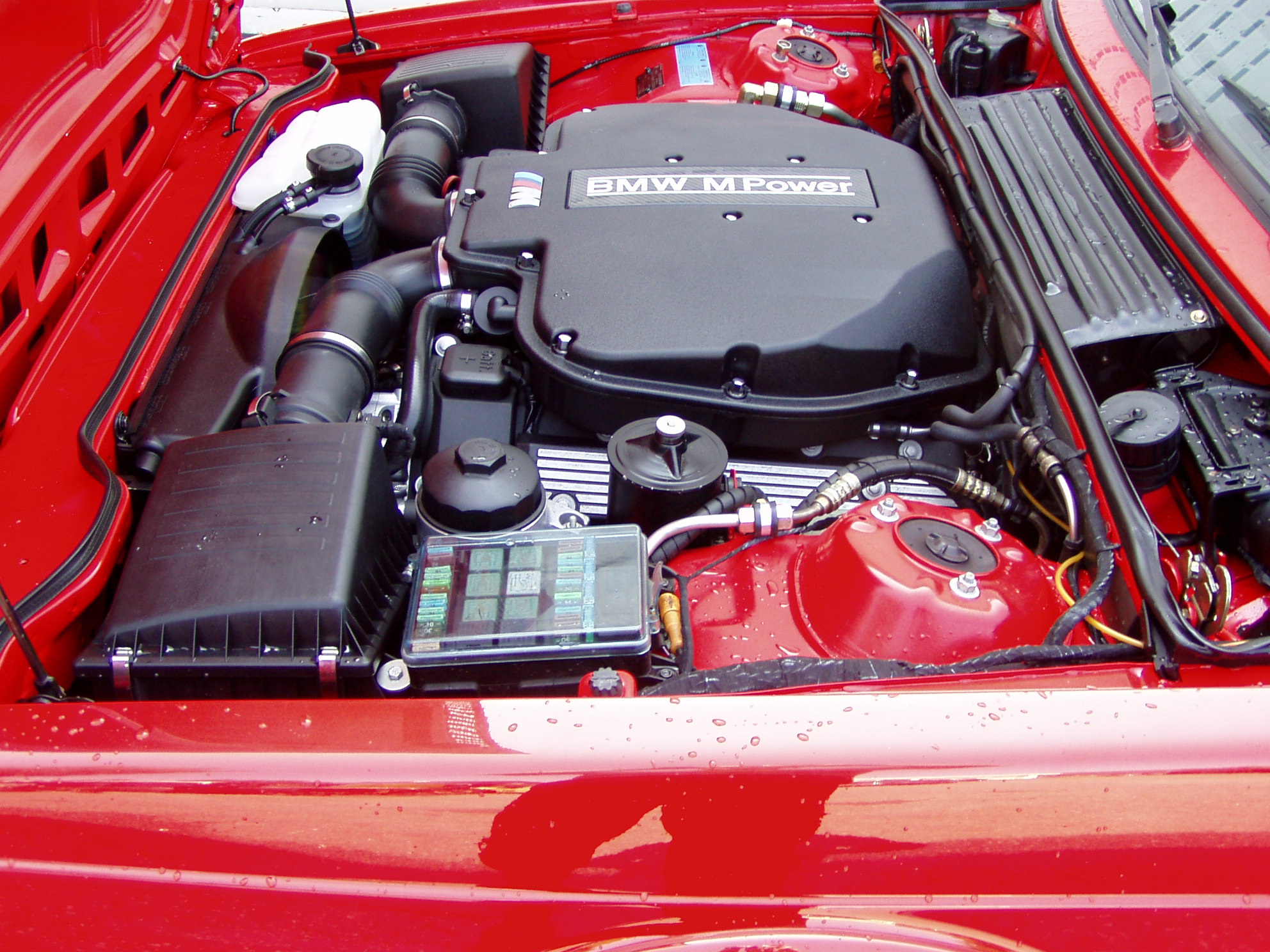 P1010014.jpg