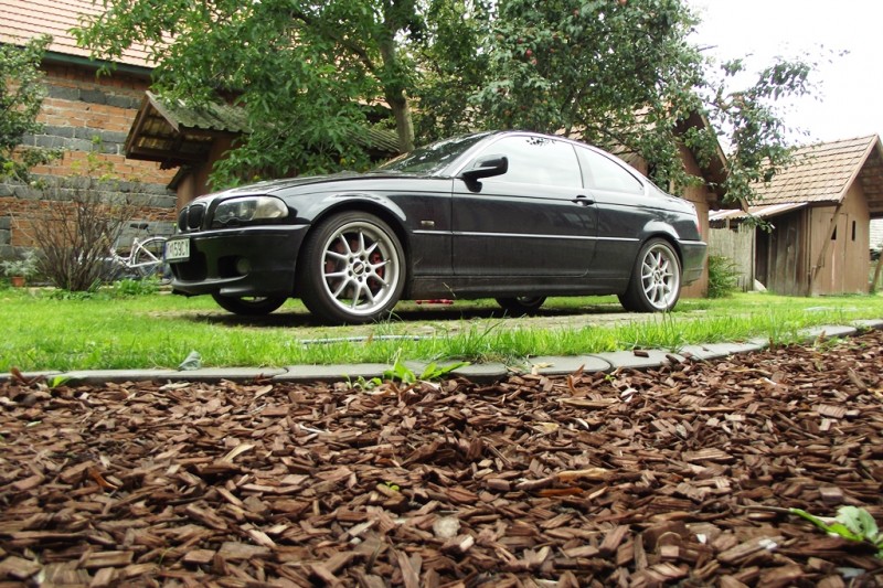 DSCF5141.JPG
