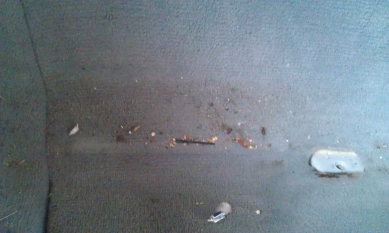 IMAG1079.jpg