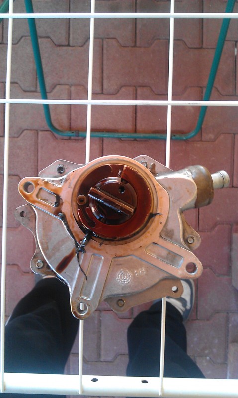 IMAG1231.jpg