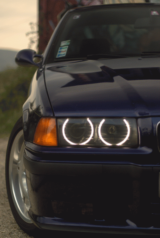 IMG_5429.gif