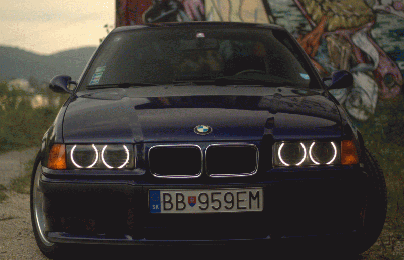 IMG_5430.gif