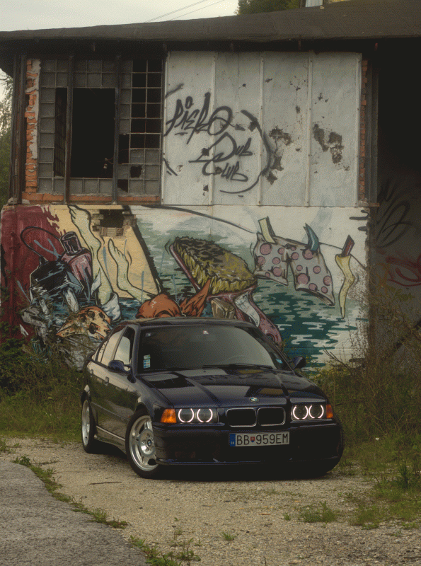 IMG_5434.gif
