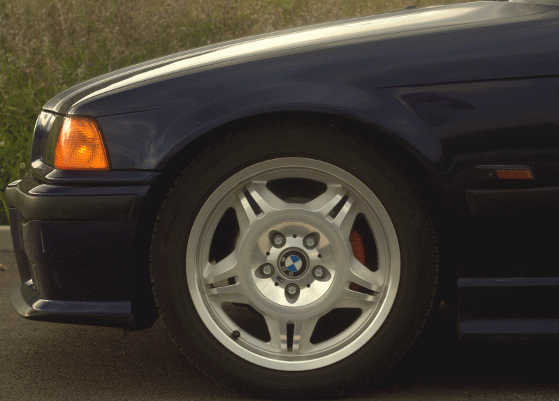 IMG_5477.gif
