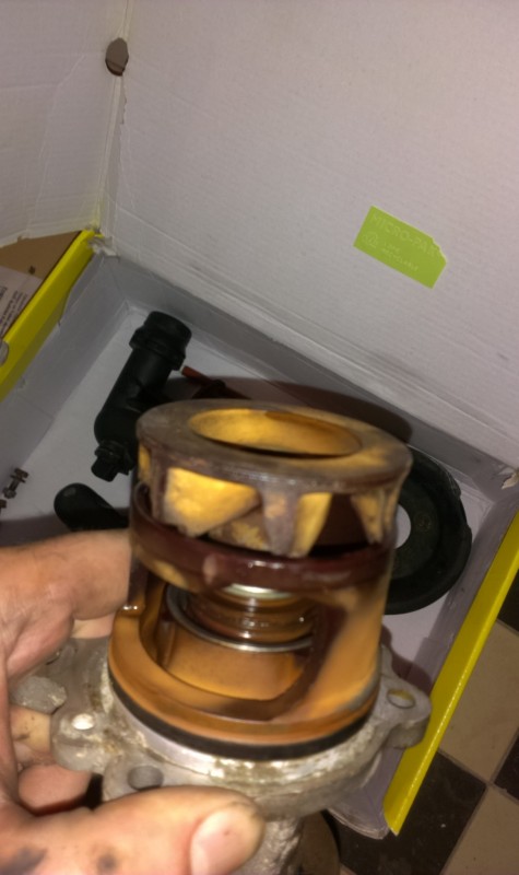 IMAG0638.jpg
