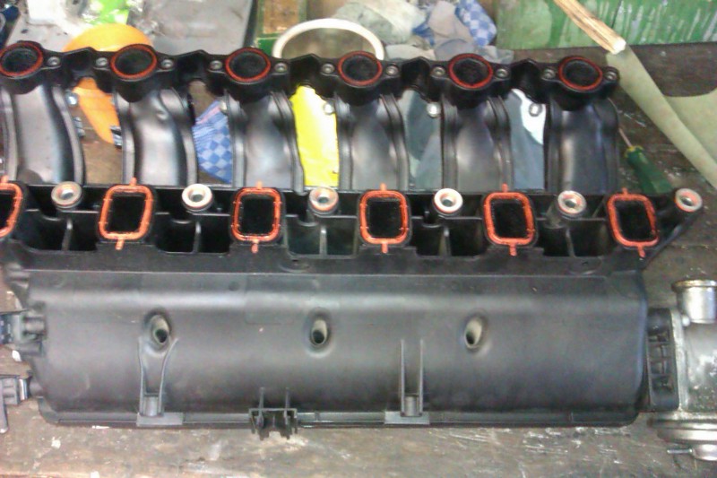 IMAG0064.jpg