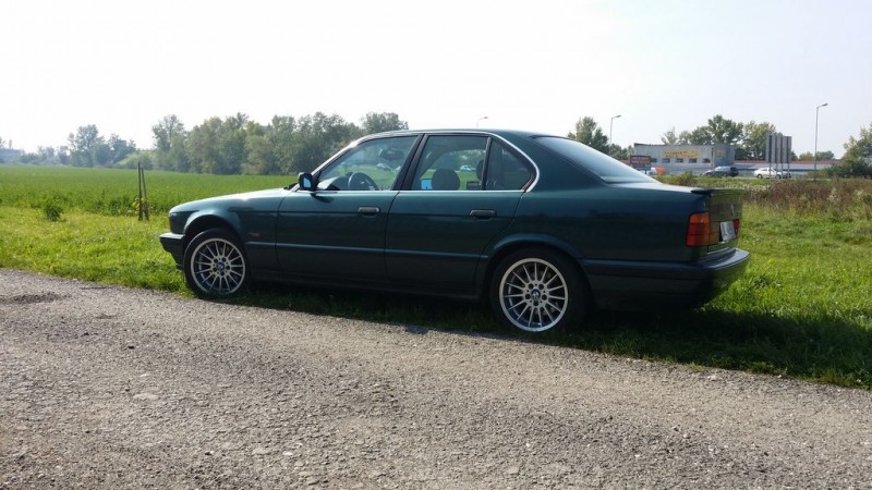20140920_112305.jpg