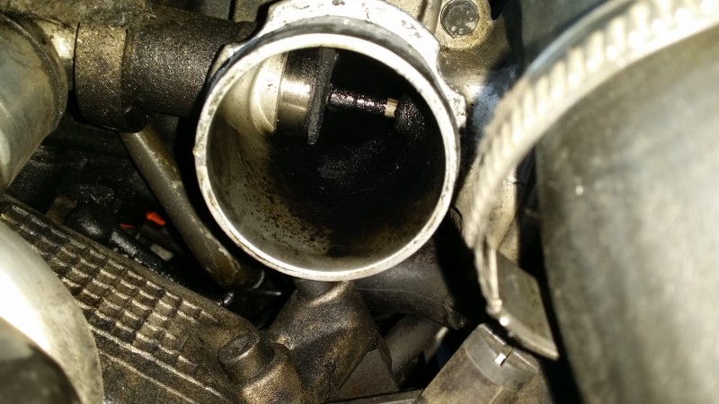 20140927_175248.jpg