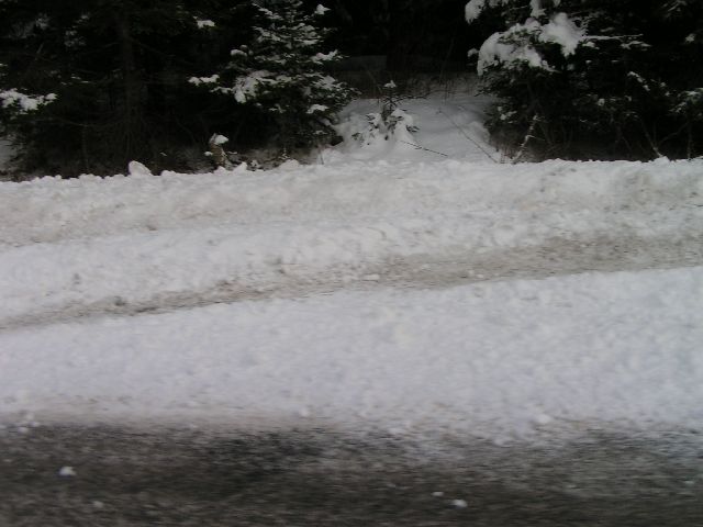 PICT6198.JPG