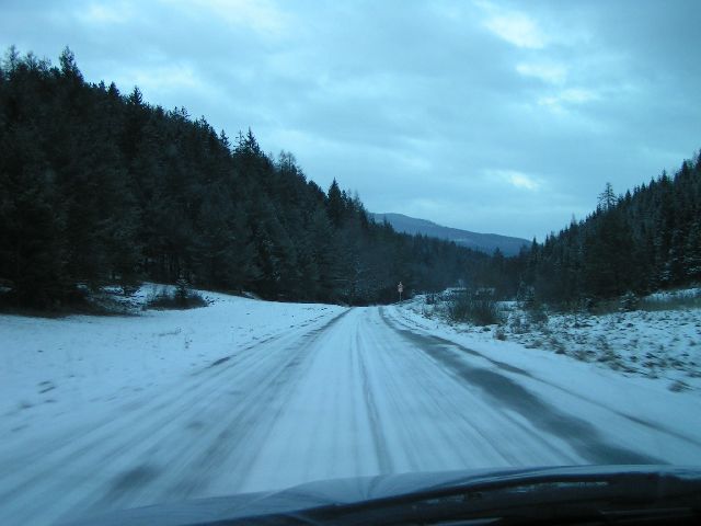 PICT6250.JPG