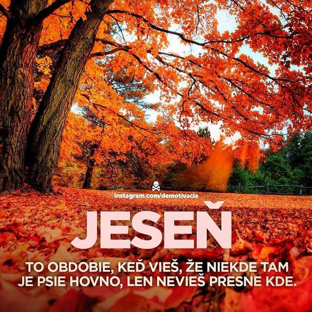 jesen.jpg