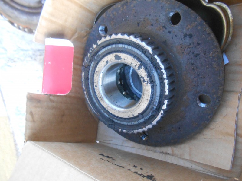 DSCN0781.JPG
