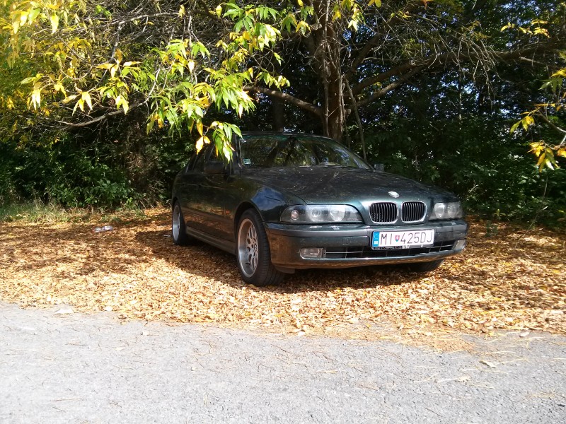 20140924_111047.jpg