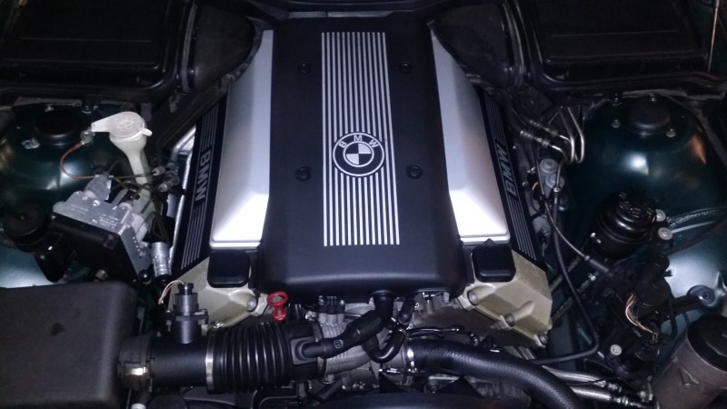 20141018_134228.jpg