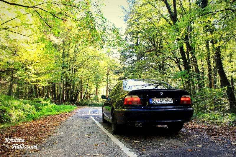 BMW zad podpis.jpg