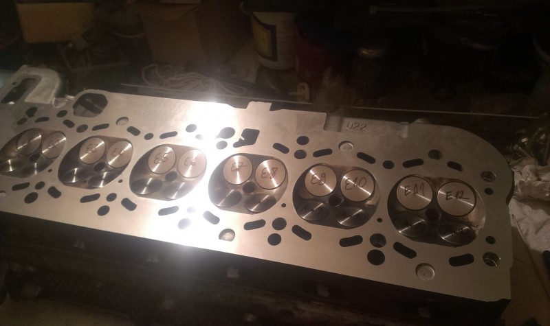 IMAG0209.jpg