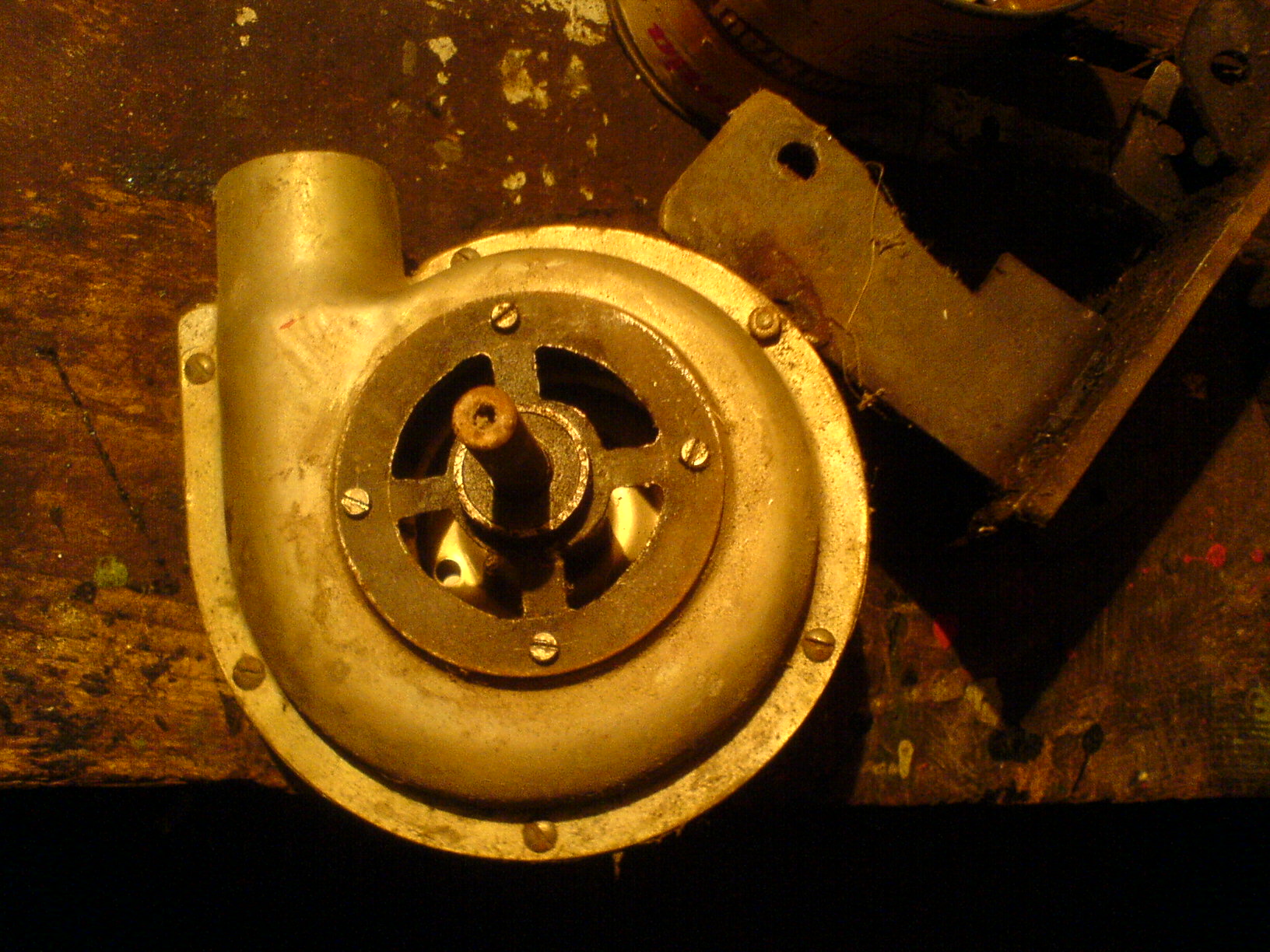 DSC00003.JPG