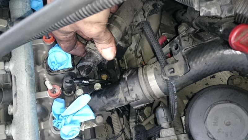 DSC_0898.JPG (2.39 MiB) 1355 zobrazení DSC_0898.JPG