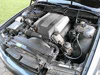 372_585293884_hoved.jpg