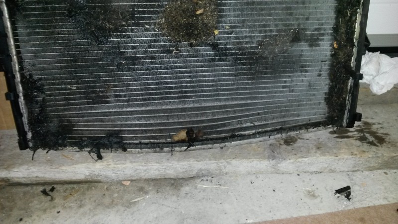 20141206_111735.jpg