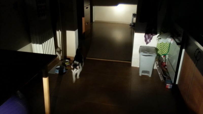 20141205_161346.jpg