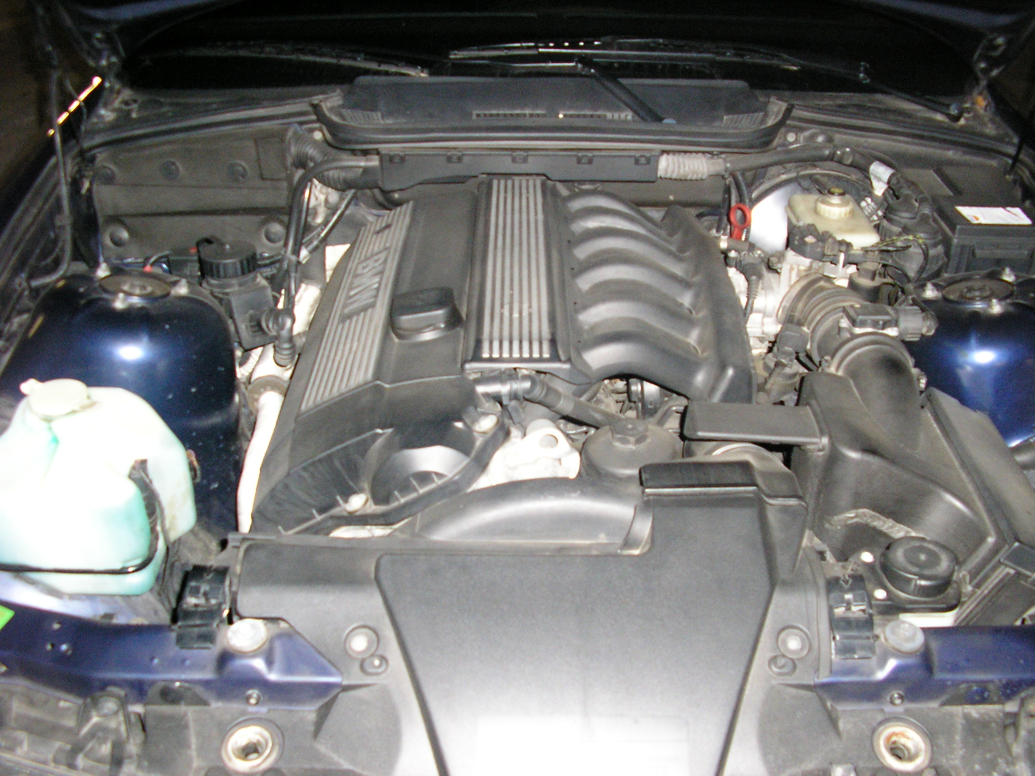 P2130153.JPG