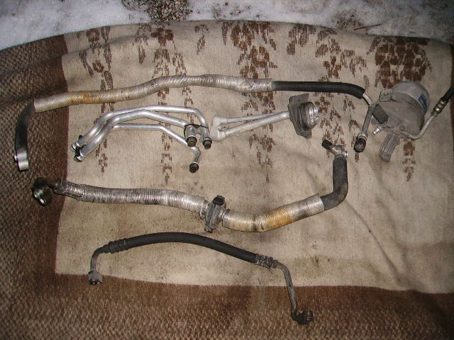 PICT0689.JPG