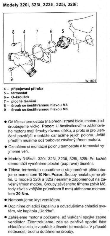 termostat 325i.jpg