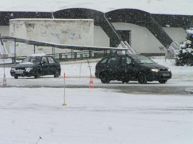 PICT6395.JPG