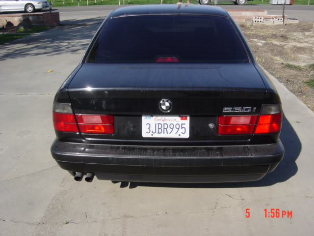 DSC01663.jpg