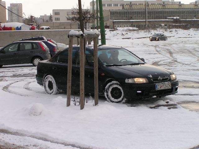 PICT6426.JPG