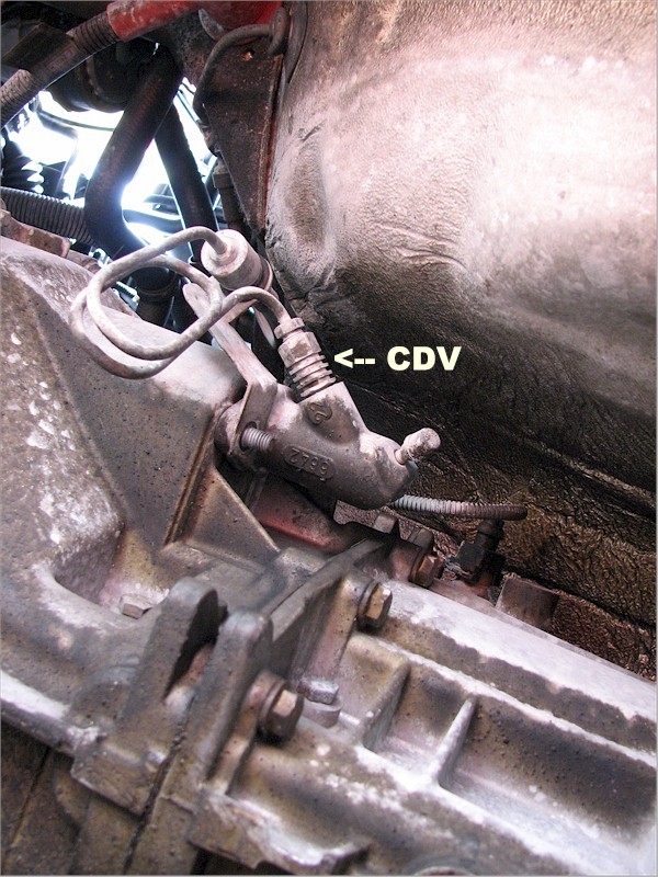 CDV-SeeIt.jpg