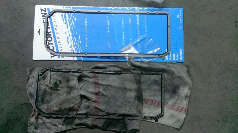 IMAG0556.jpg